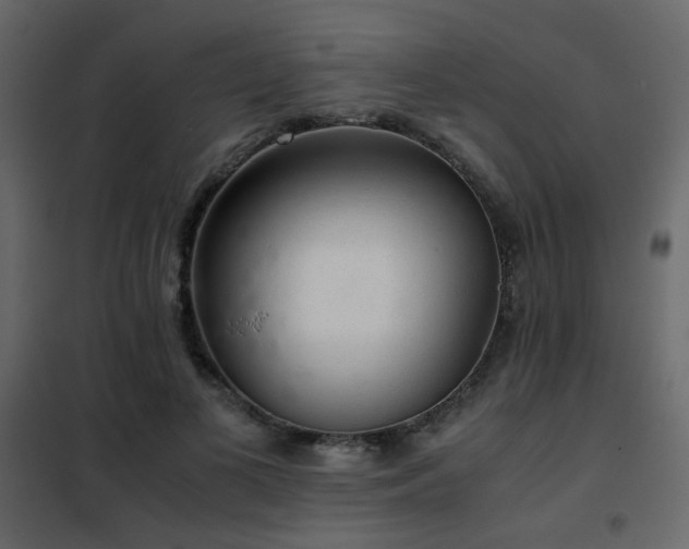 X0000102520693200808081428