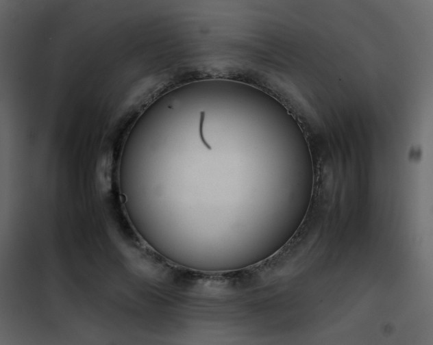 X0000102520694200808081428