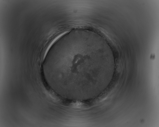 X0000102520695200808081428