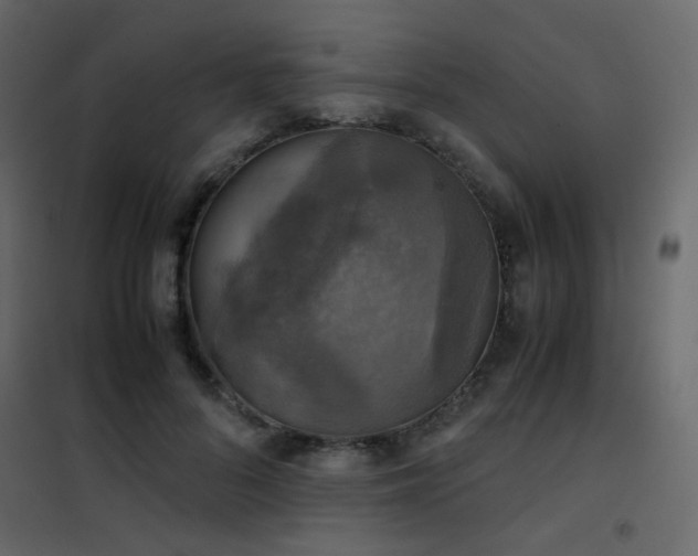 X0000102520696200808081428