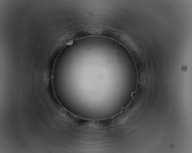 X0000102520697200808081428