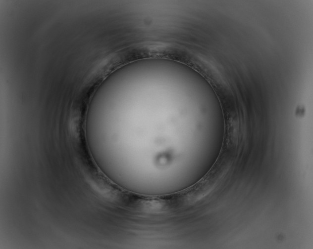 X0000102520698200808081428