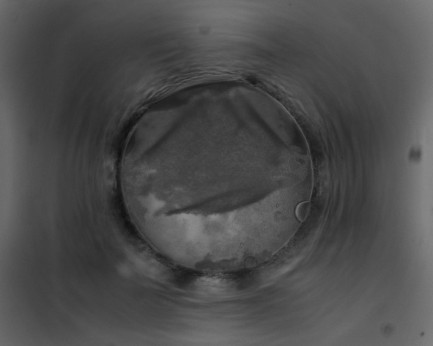 X0000102520699200808081428