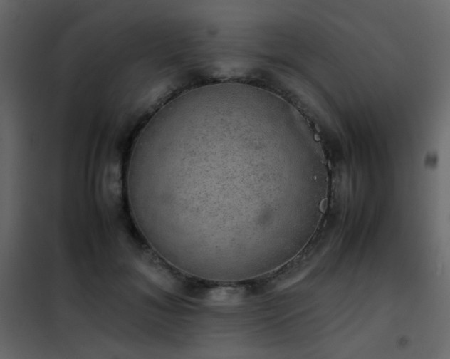 X0000102520700200808081428