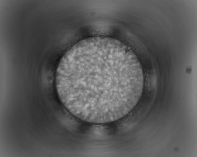 X0000102520701200808081428