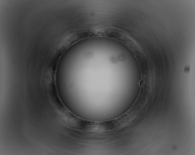 X0000102520702200808081428