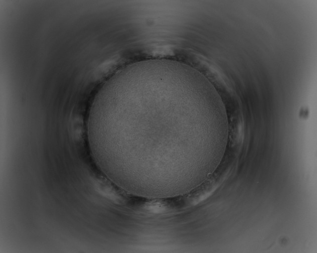 X0000102520704200808081428