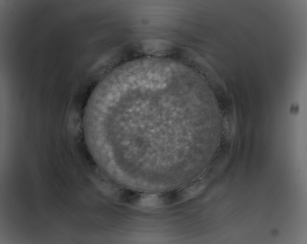 X0000102520705200808081428