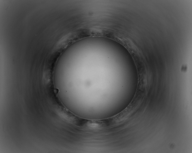 X0000102520706200808081428