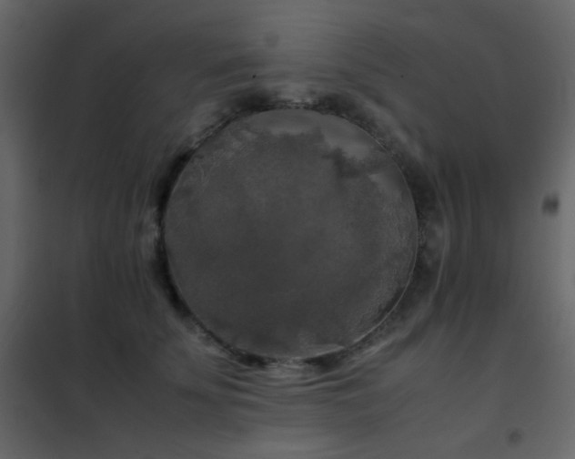 X0000102520707200808081428