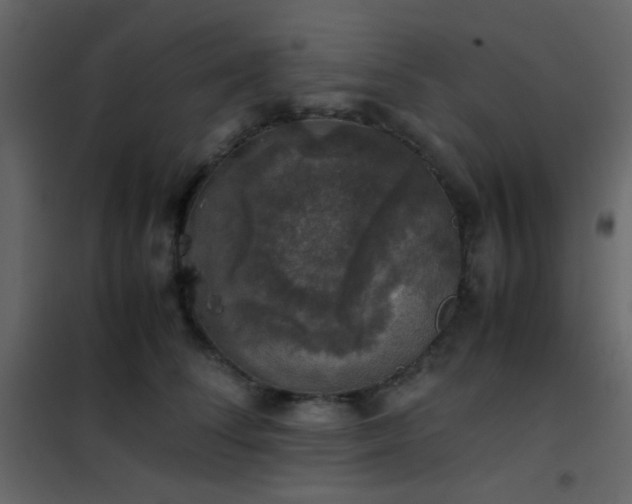 X0000102520708200808081428