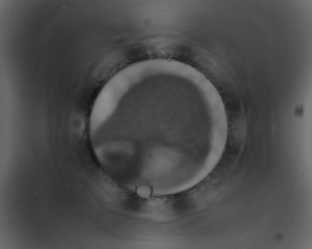 X0000102520709200808081428