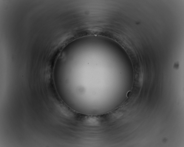 X0000102520710200808081428