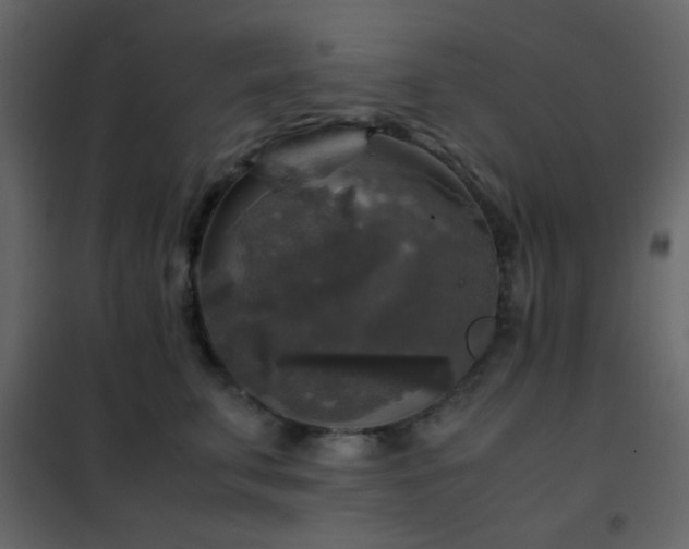 X0000102520711200808081427