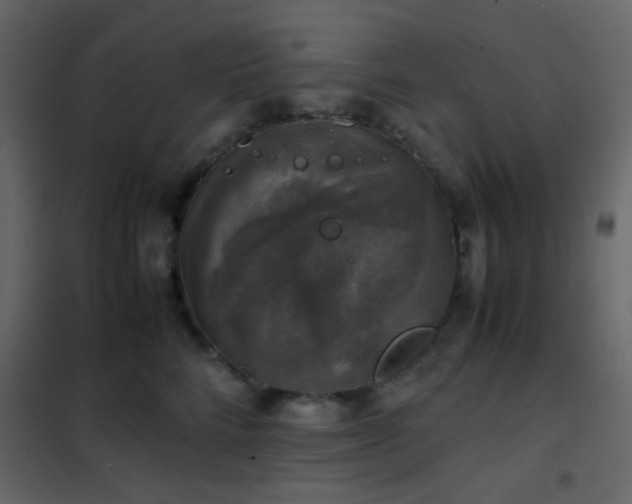 X0000102520712200808081427