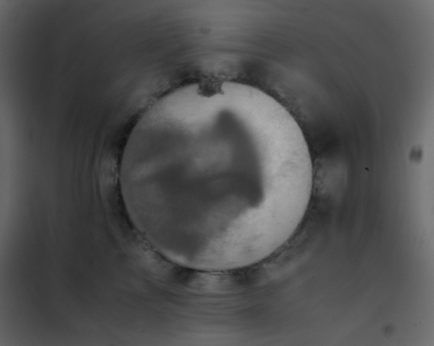 X0000102520713200808081427