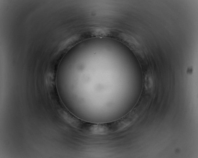 X0000102520714200808081427