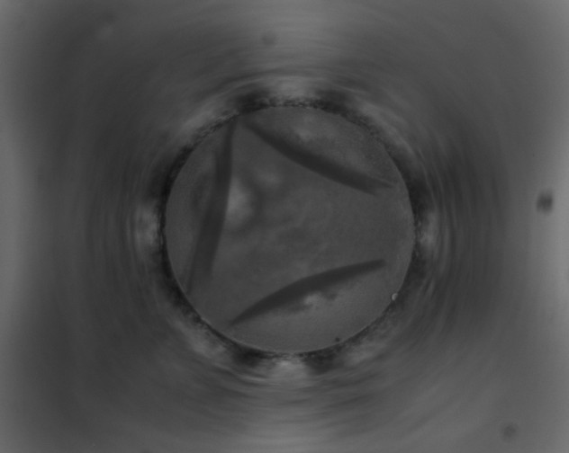 X0000102520715200808081427