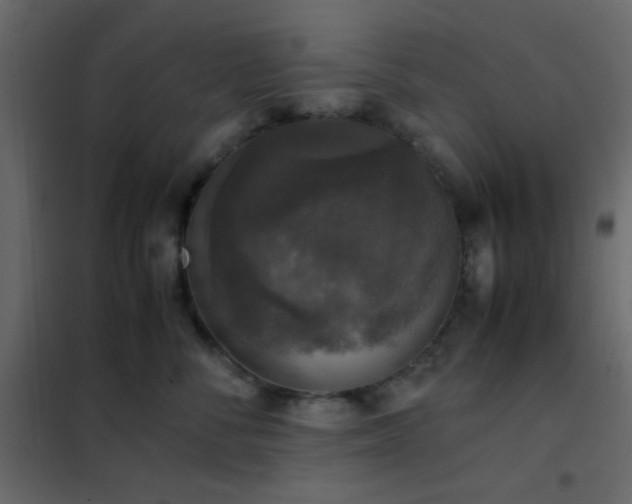 X0000102520716200808081427