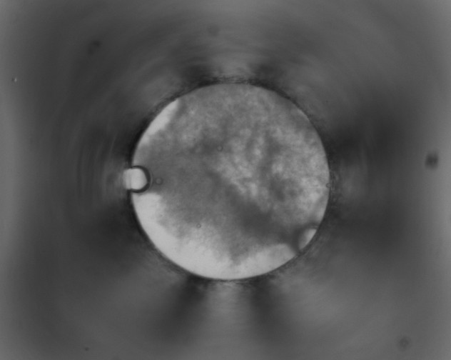 X0000102520717200808081427