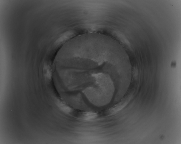 X0000102520719200808081427