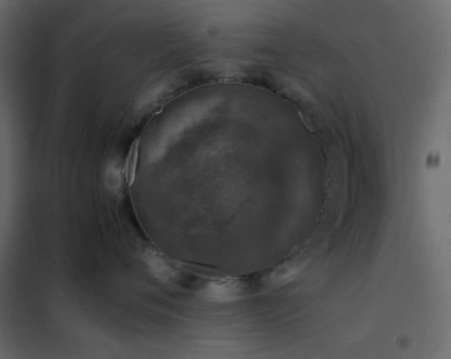 X0000102520720200808081427