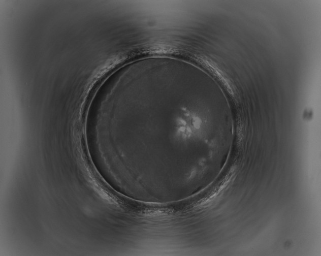 X0000102520721200808081427