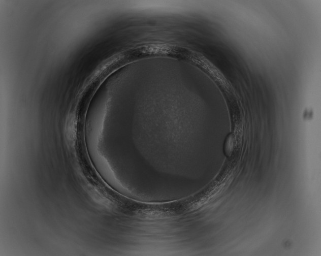 X0000102520722200808081427