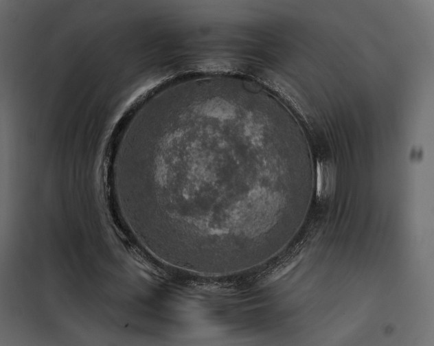 X0000102520723200808081427