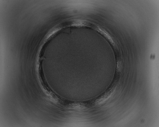 X0000102520724200808081427