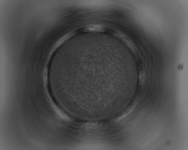 X0000102520725200808081427