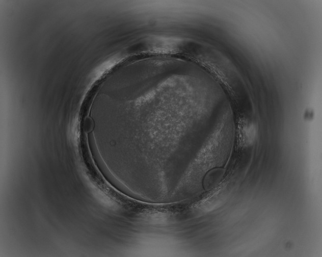 X0000102520726200808081427