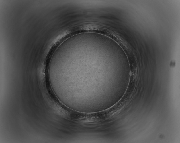 X0000102520727200808081427