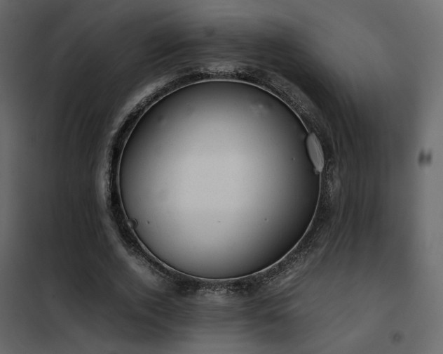 X0000102520728200808081427