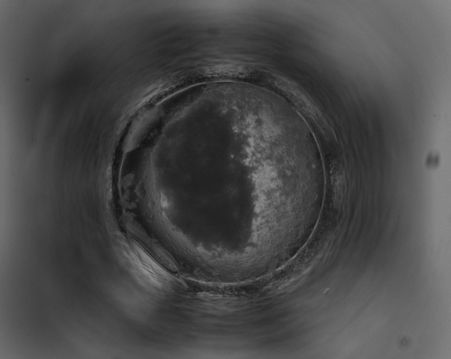 X0000102520729200808081427