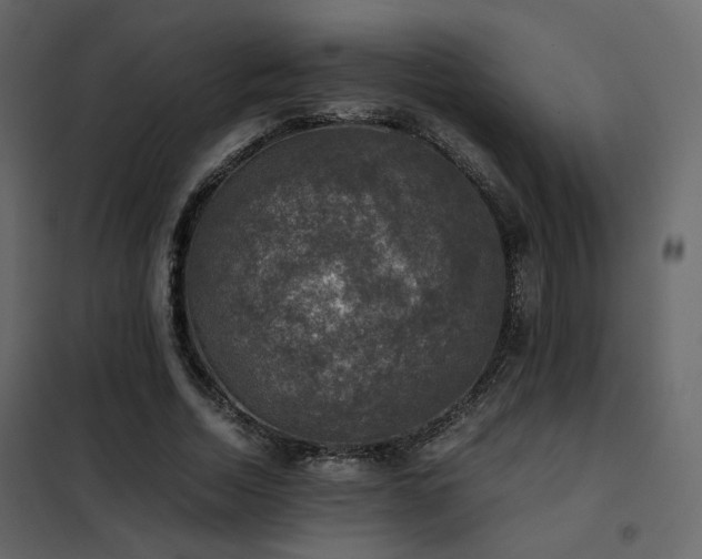 X0000102520730200808081427