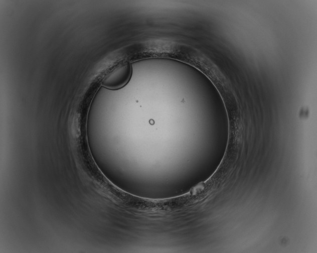 X0000102520731200808081427