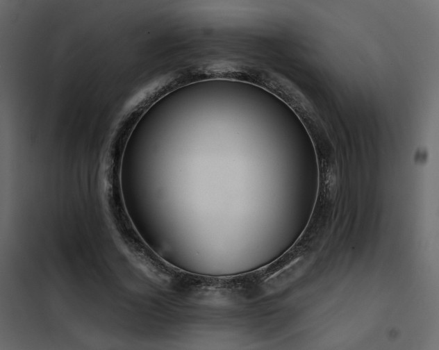 X0000102520732200808081427