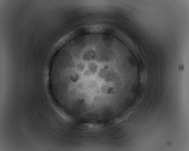 X0000102520733200808081427