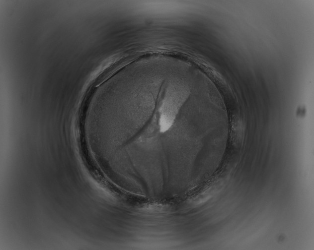 X0000102520734200808081427