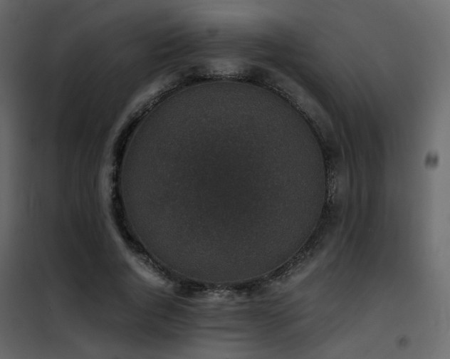 X0000102520736200808081427