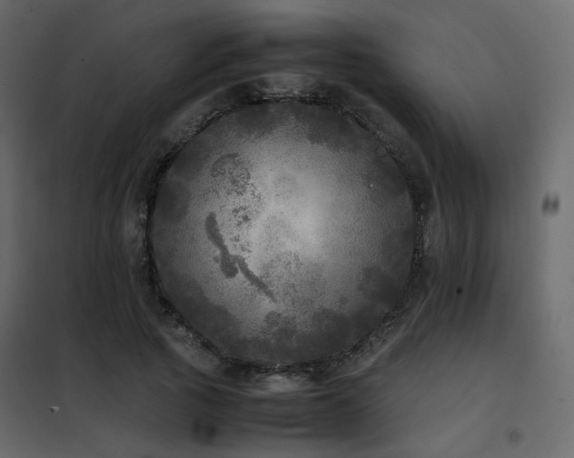 X0000102520737200808081427