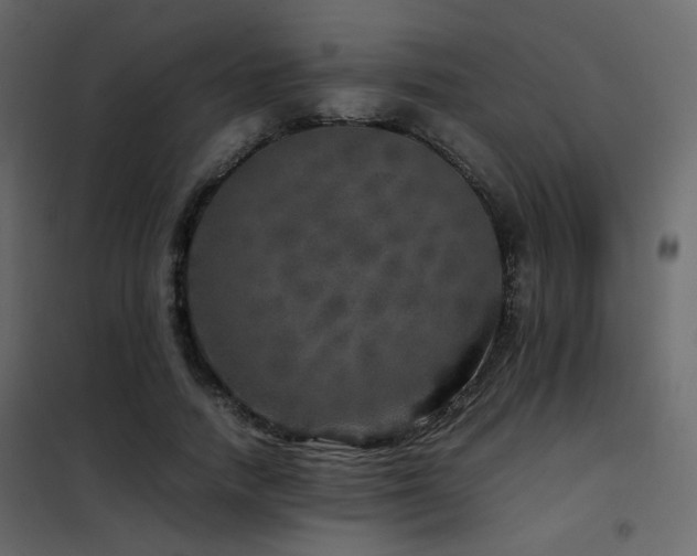 X0000102520738200808081427