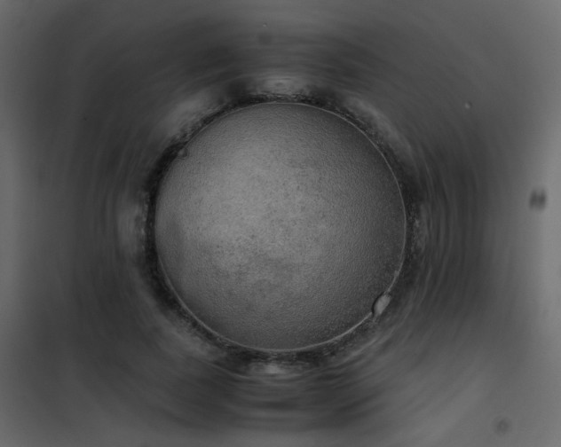 X0000102520739200808081427