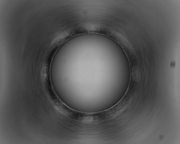 X0000102520740200808081427