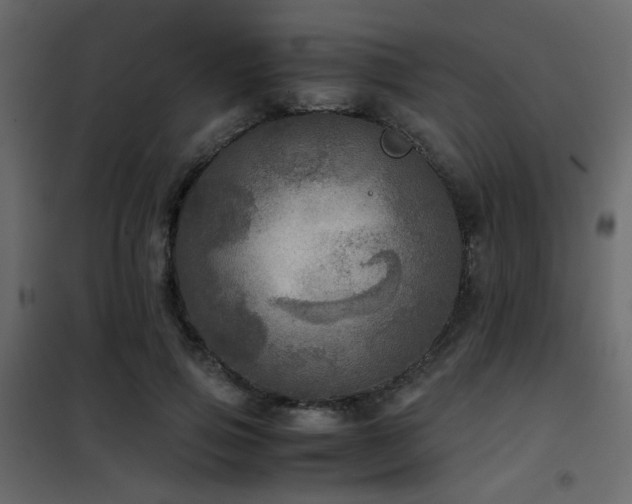 X0000102520741200808081427