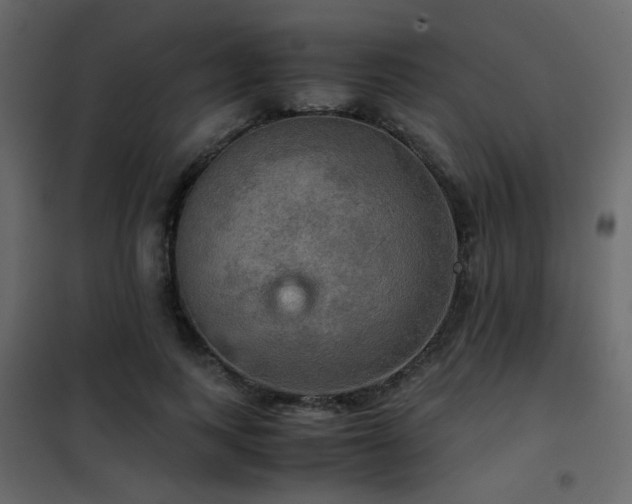 X0000102520743200808081427