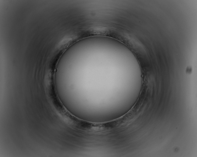 X0000102520744200808081427