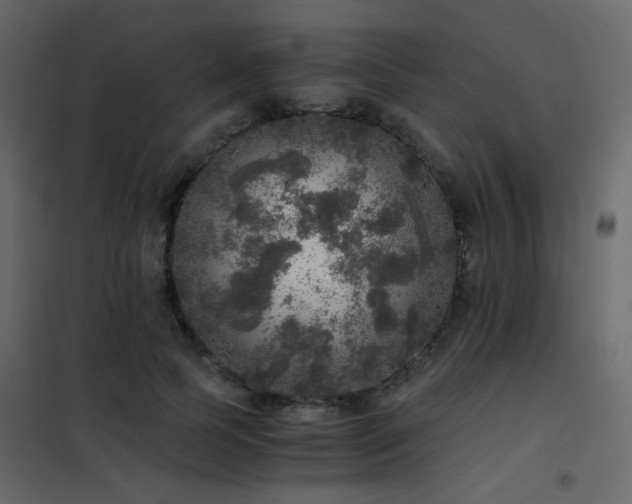 X0000102520745200808081427