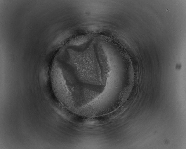 X0000102520746200808081427